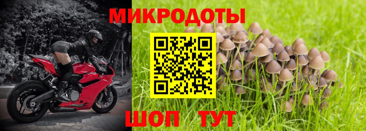 Галлюциногенные грибы Magic Shrooms Воткинск