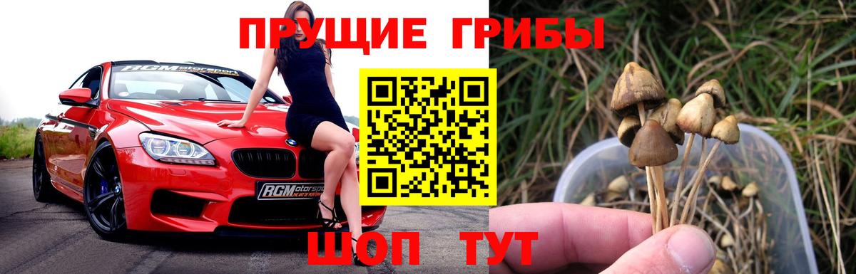 Псилоцибиновые грибы мухоморы  Вход с VPN  дарнет шоп  Воткинск 
